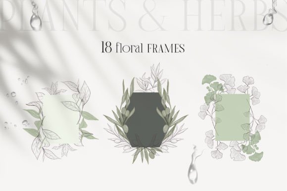 Floral Frames with Plants Herbs for Natural Branding